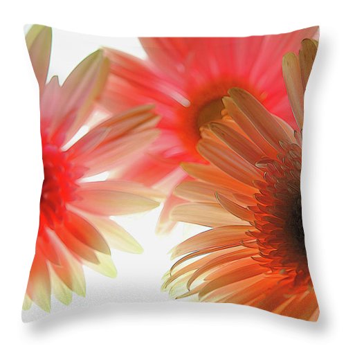 Flowers 2602 - Throw Pillow
