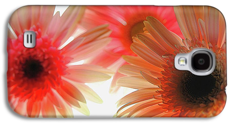 Flowers 2602 - Phone Case