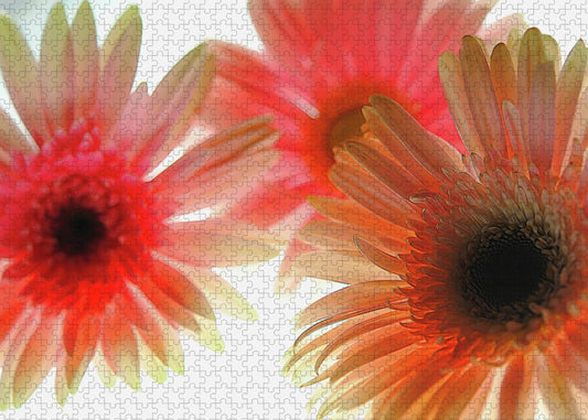 Flowers 2602 - Puzzle
