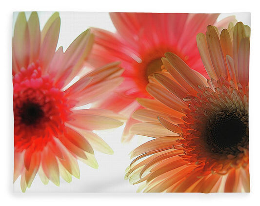 Flowers 2602 - Blanket