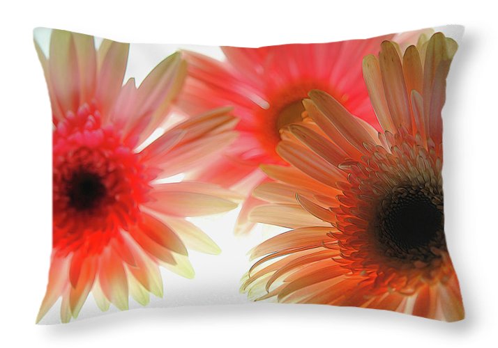 Flowers 2602 - Throw Pillow