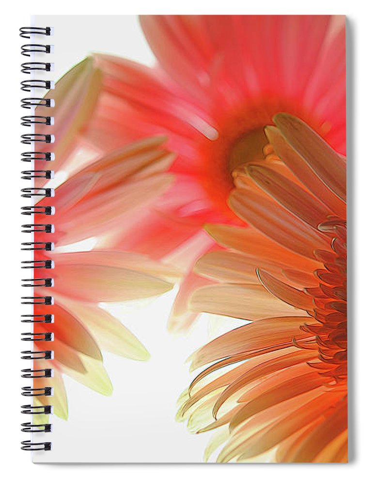 Flowers 2602 - Spiral Notebook