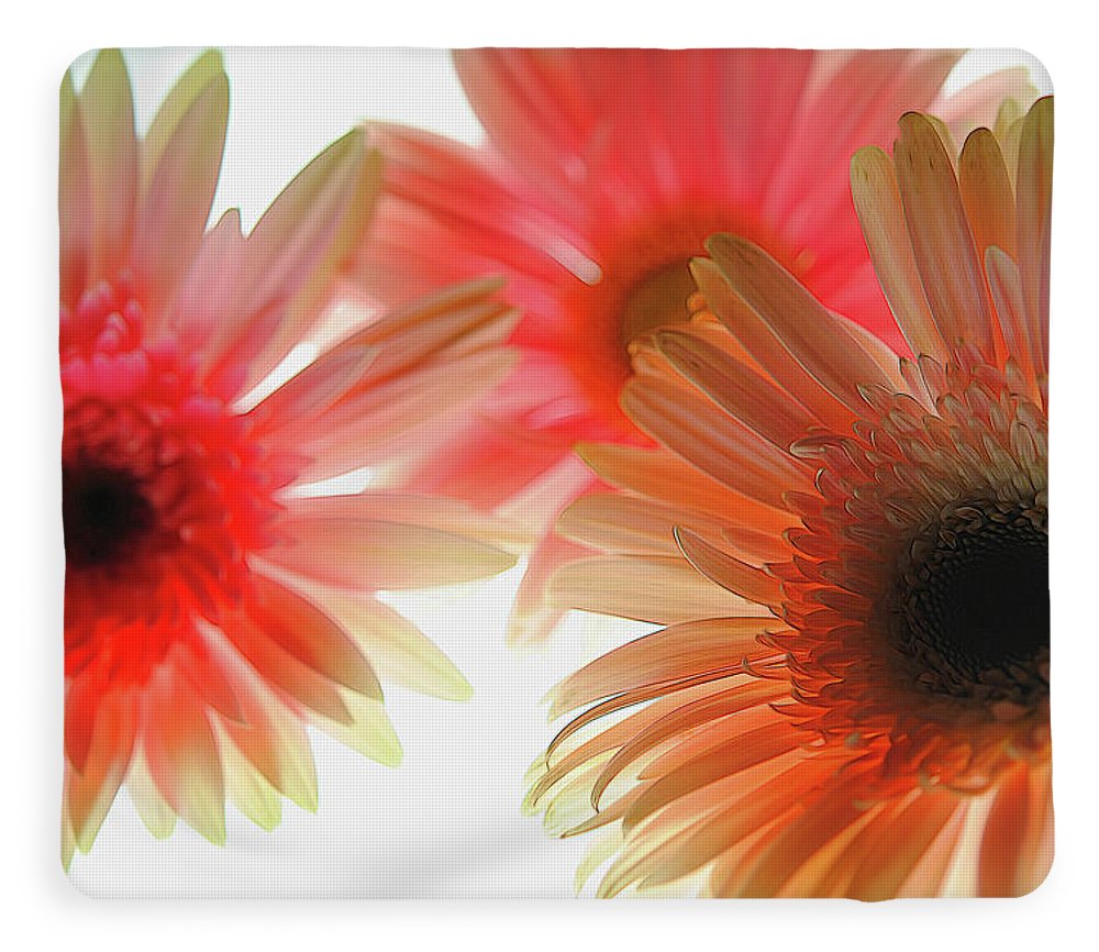 Flowers 2602 - Blanket