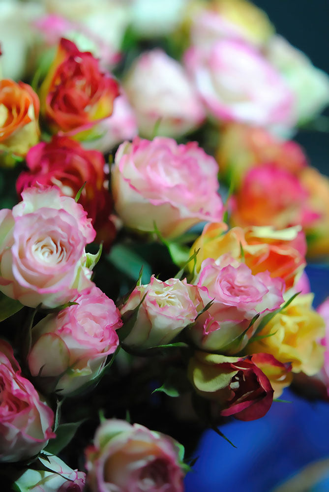 Flowers 260 Digital Image Download