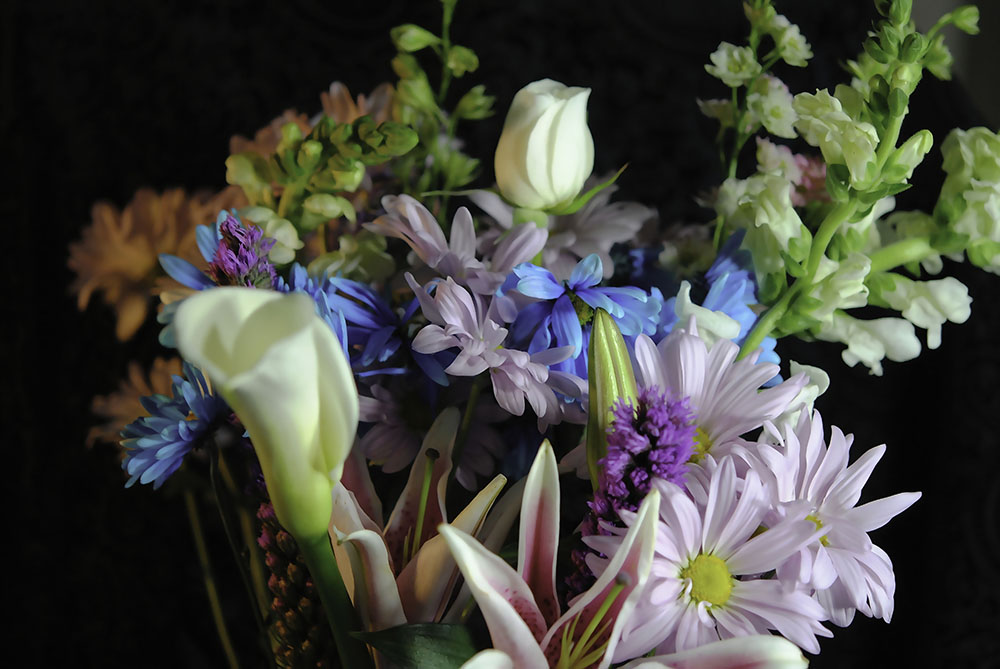Flowers 292 Digital Image Download