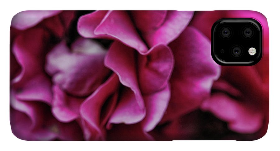 Fuchsia Flowers - Phone Case