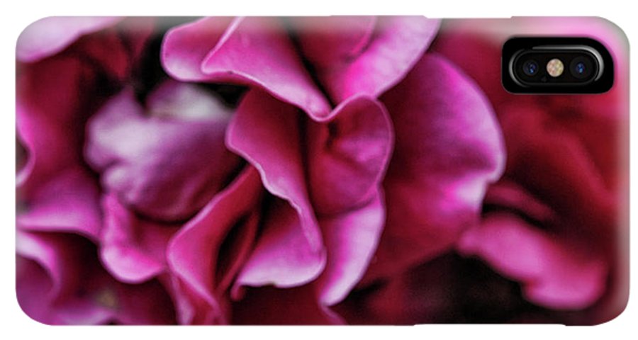 Fuchsia Flowers - Phone Case