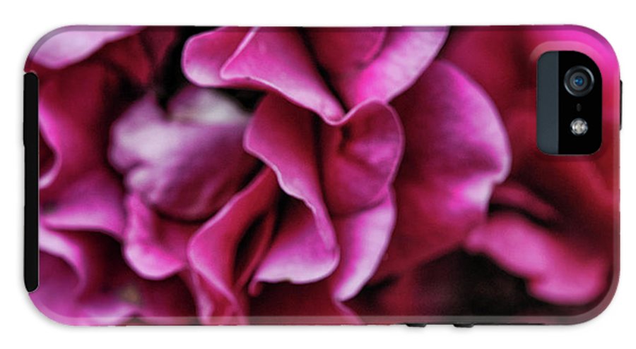 Fuchsia Flowers - Phone Case