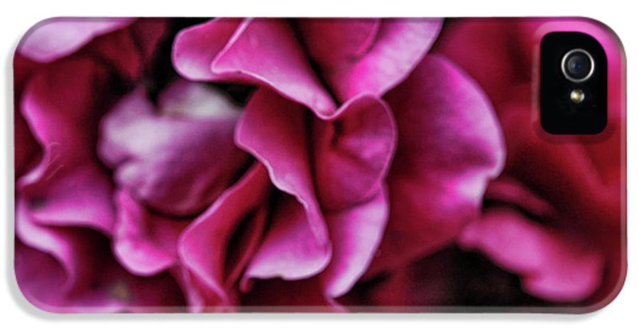 Fuchsia Flowers - Phone Case
