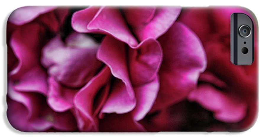 Fuchsia Flowers - Phone Case
