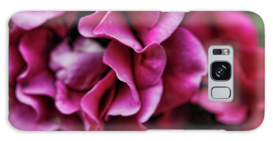 Fuchsia Flowers - Phone Case