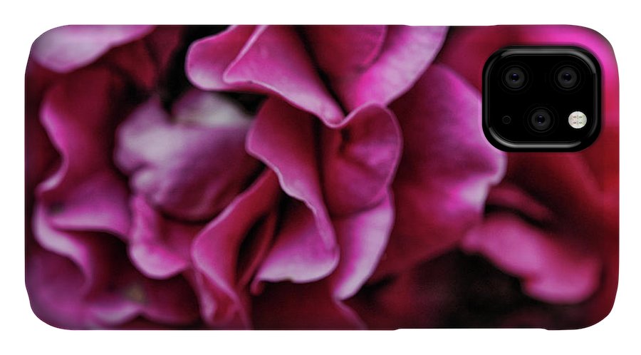 Fuchsia Flowers - Phone Case
