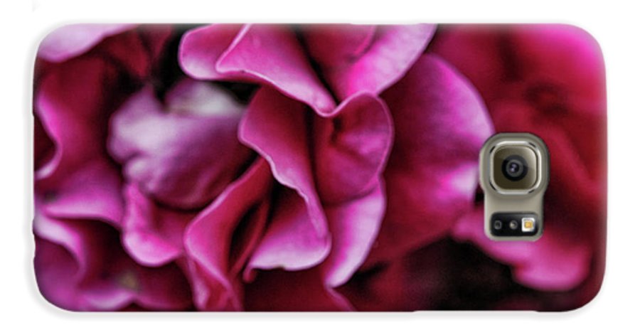 Fuchsia Flowers - Phone Case