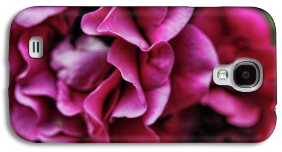 Fuchsia Flowers - Phone Case