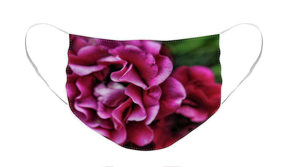 Fuchsia Flowers - Face Mask