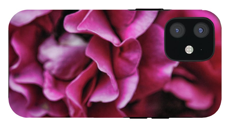 Fuchsia Flowers - Phone Case