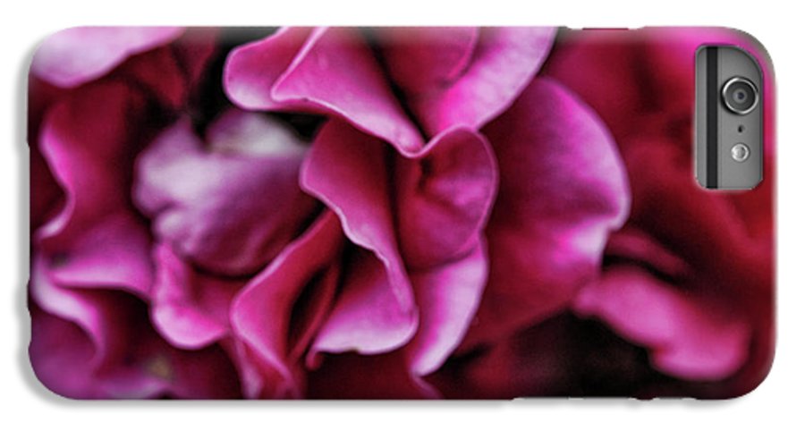 Fuchsia Flowers - Phone Case