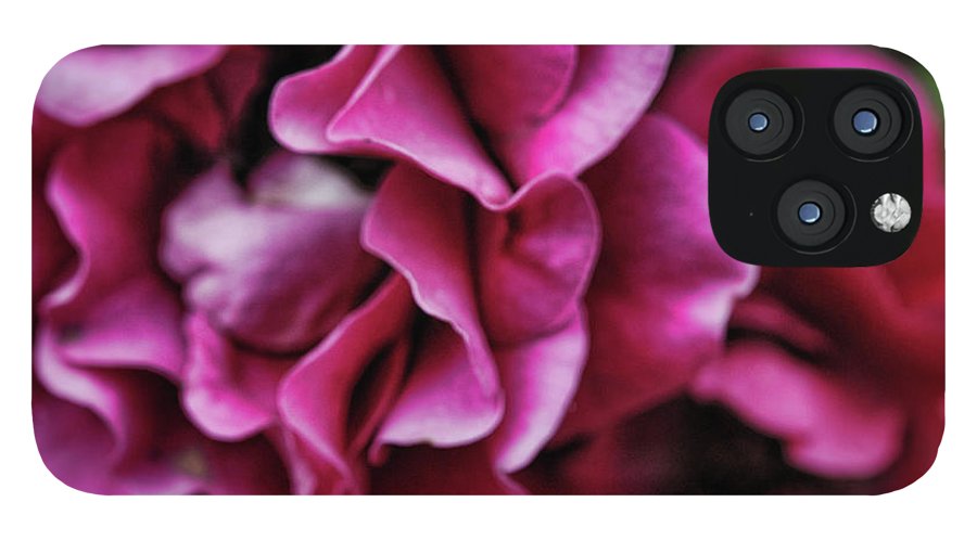 Fuchsia Flowers - Phone Case