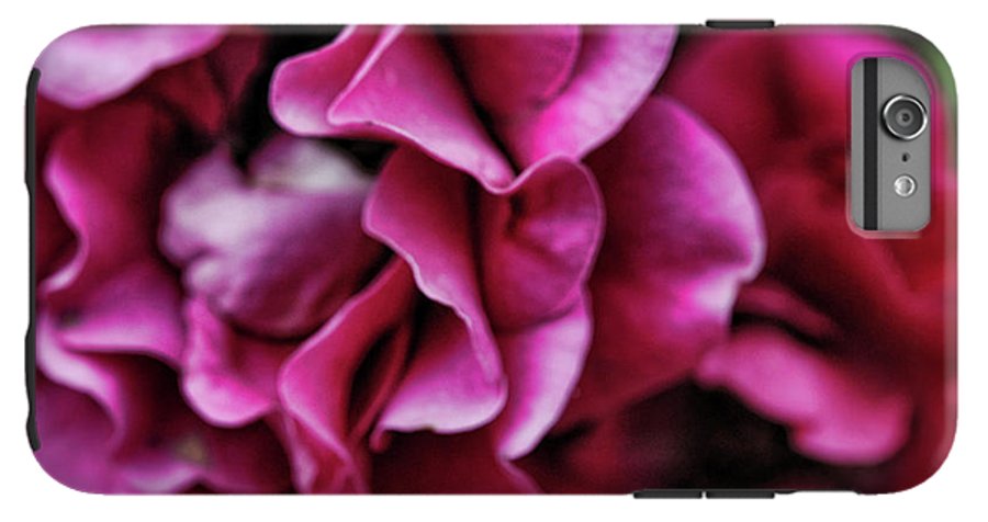 Fuchsia Flowers - Phone Case