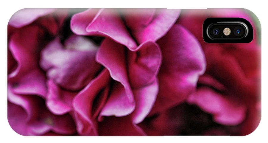 Fuchsia Flowers - Phone Case