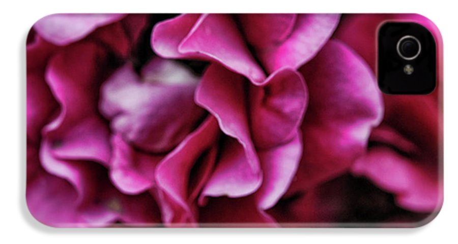 Fuchsia Flowers - Phone Case