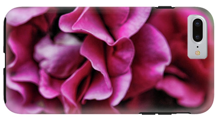 Fuchsia Flowers - Phone Case