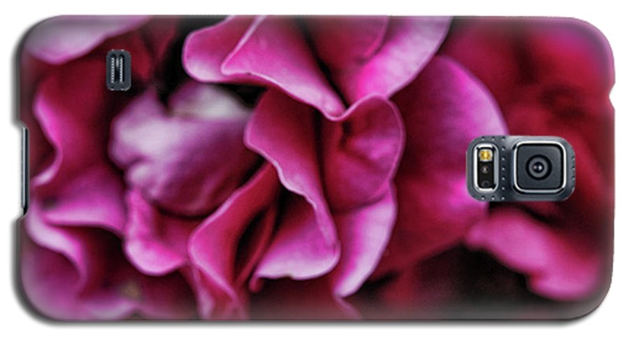 Fuchsia Flowers - Phone Case