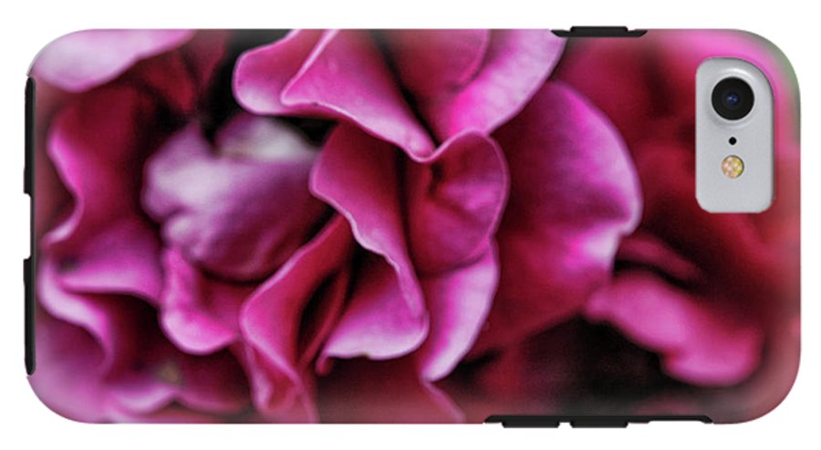 Fuchsia Flowers - Phone Case