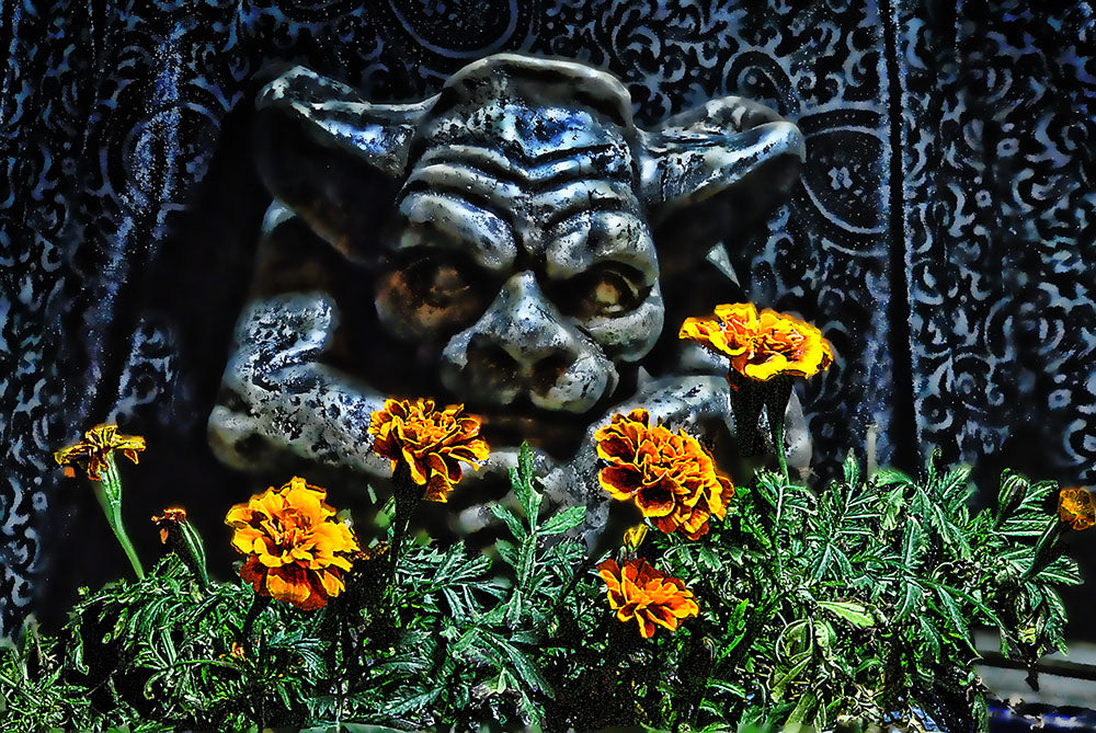 Gargoyle Garden Keeper Digital Image Download