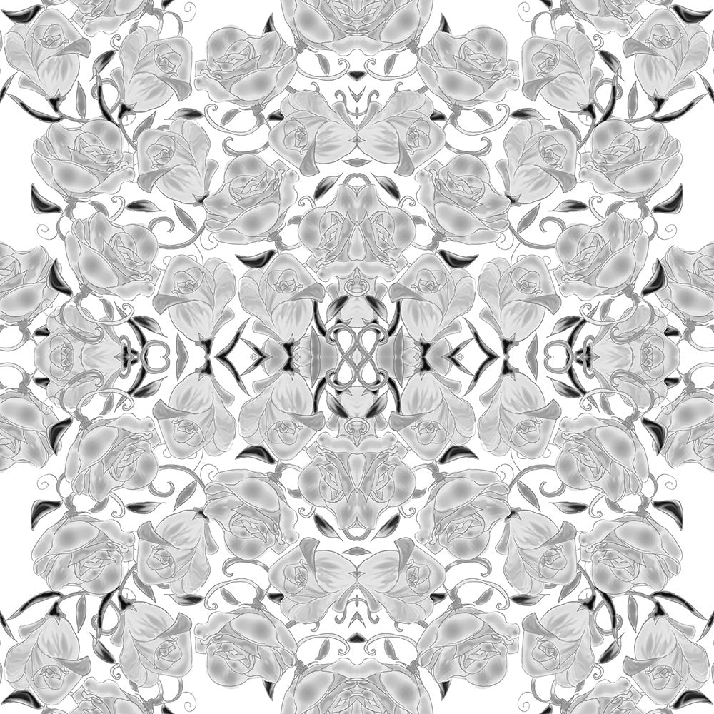 Gray Roses on White Digital Image Download