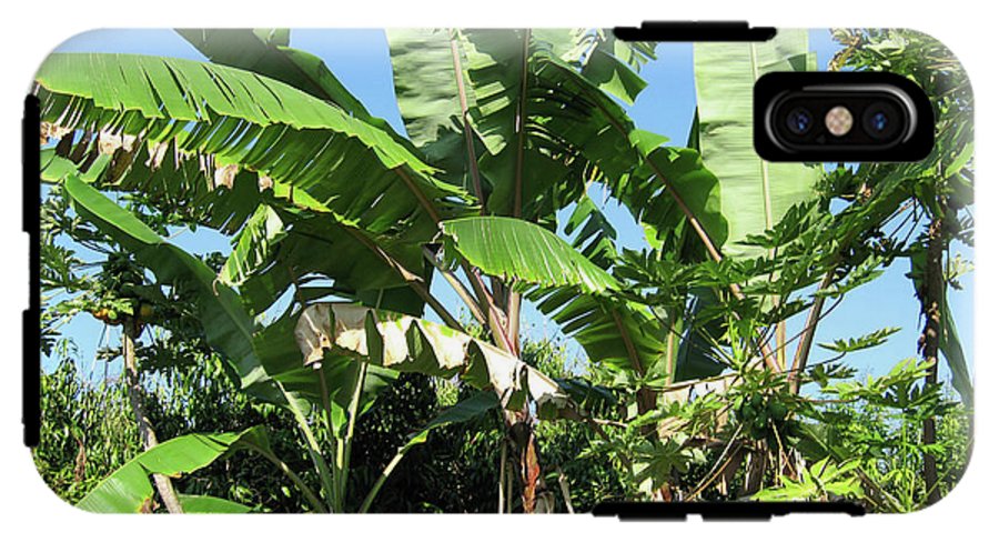 Hawaii 2 - Phone Case
