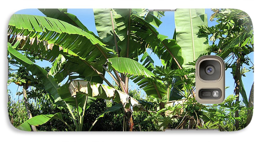 Hawaii 2 - Phone Case