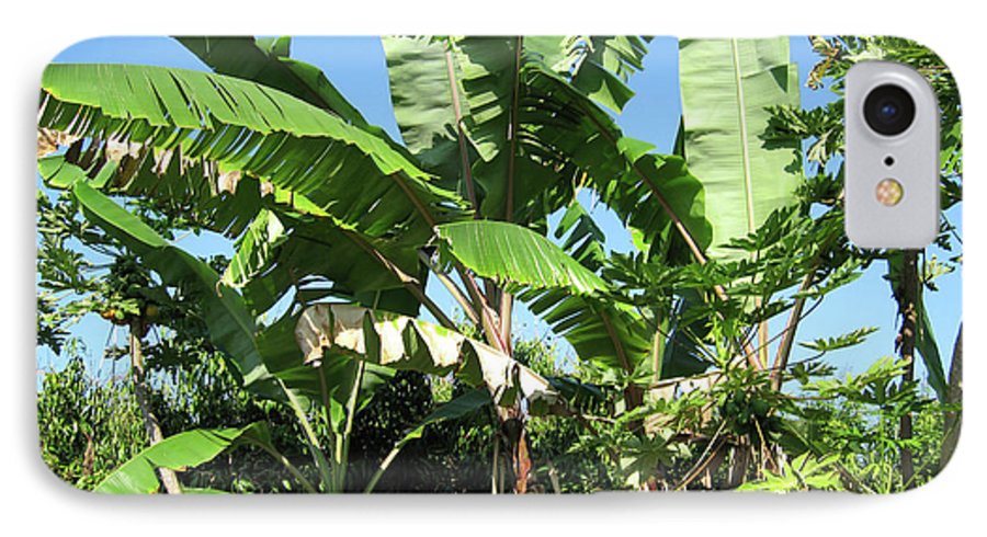Hawaii 2 - Phone Case