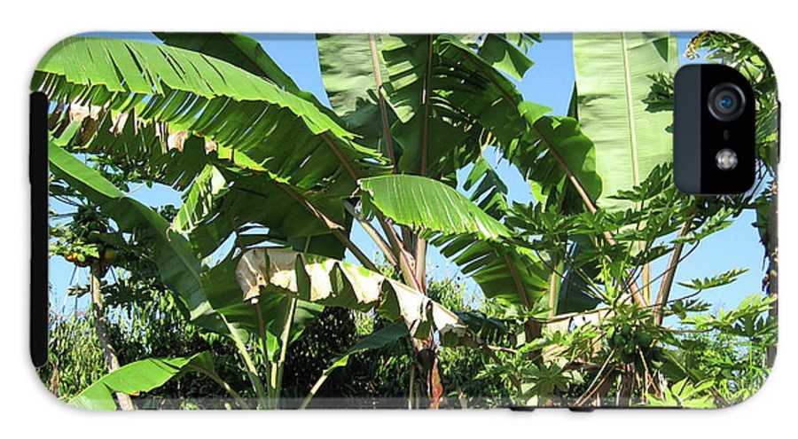 Hawaii 2 - Phone Case