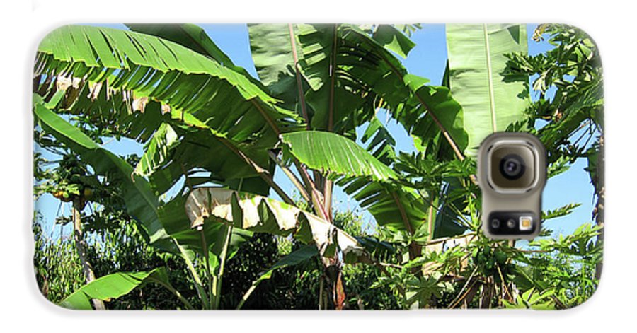 Hawaii 2 - Phone Case