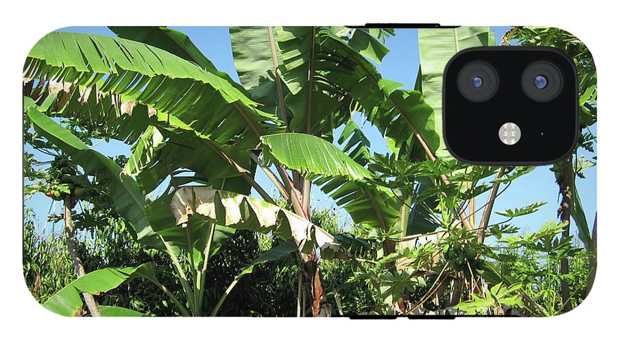 Hawaii 2 - Phone Case