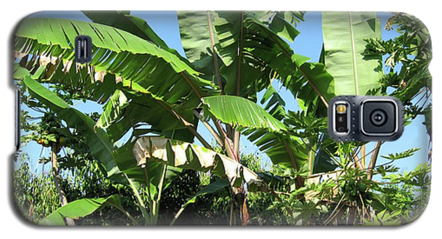 Hawaii 2 - Phone Case