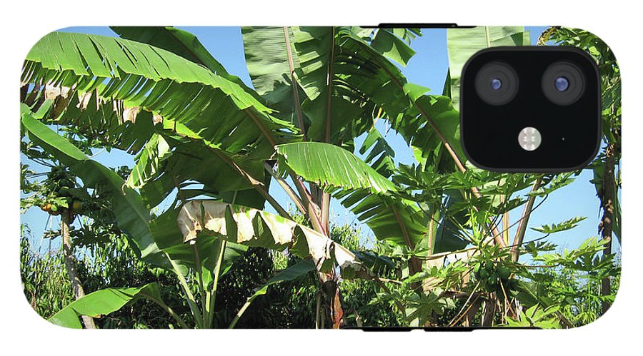 Hawaii 2 - Phone Case