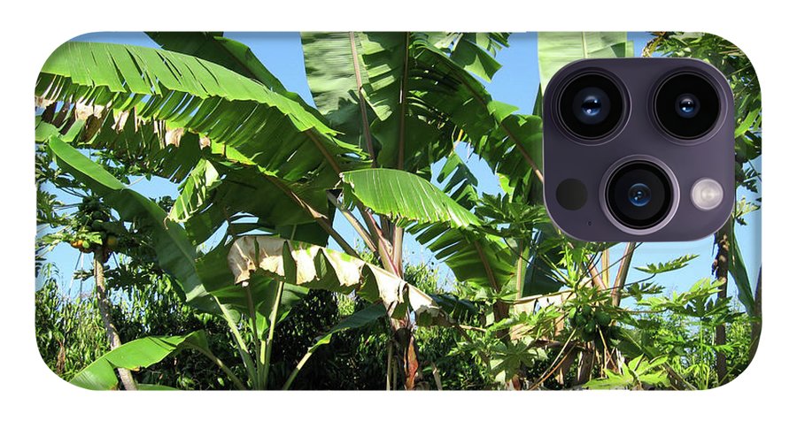 Hawaii 2 - Phone Case