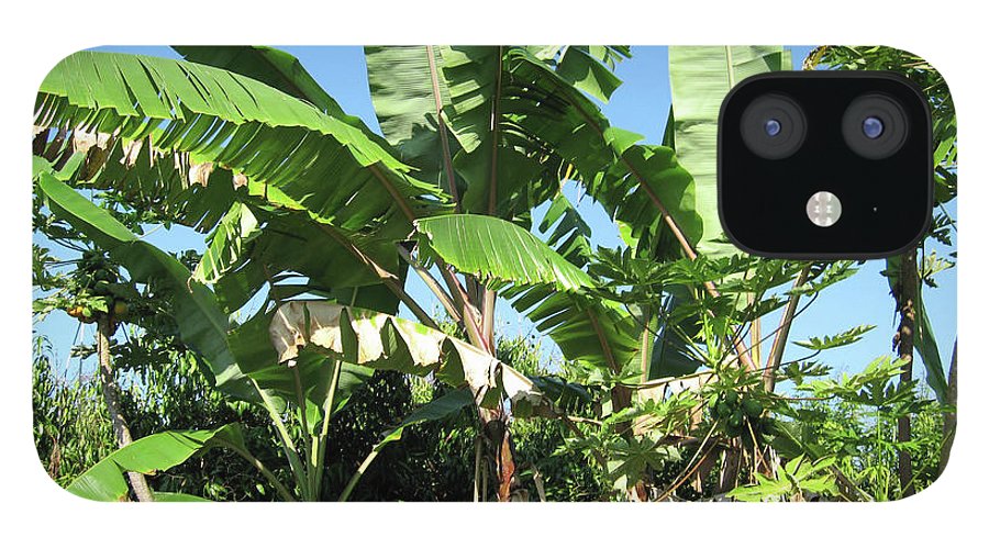 Hawaii 2 - Phone Case