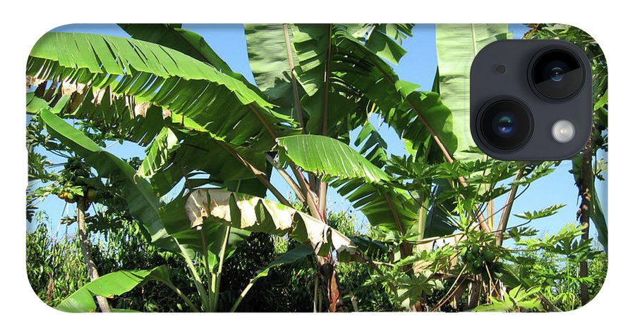 Hawaii 2 - Phone Case