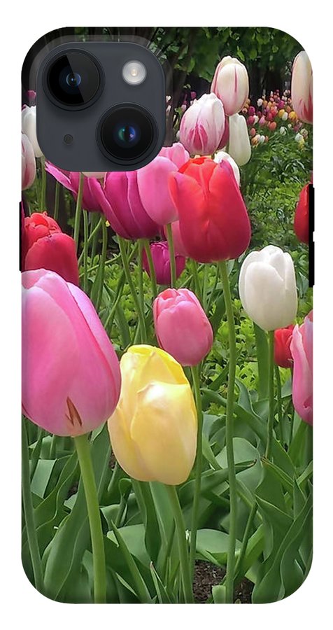 Home Chicago Tulips - Phone Case