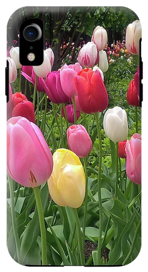 Home Chicago Tulips - Phone Case