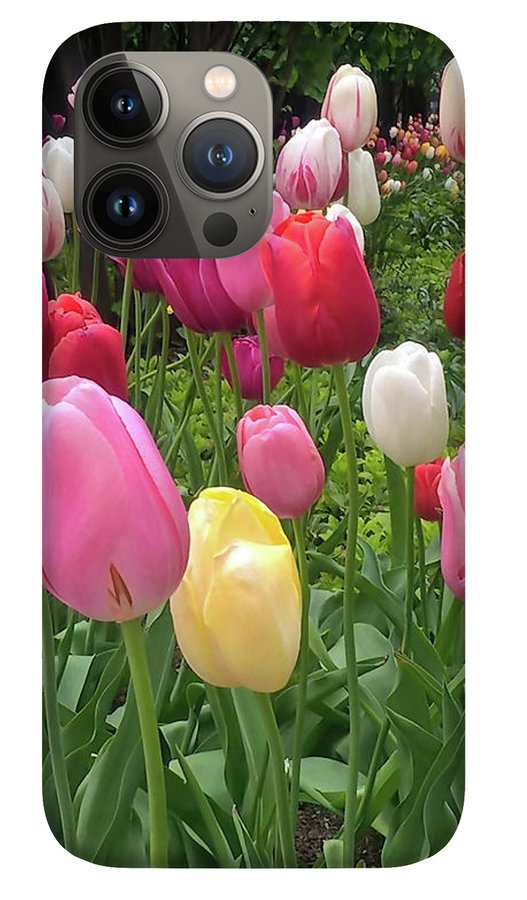 Home Chicago Tulips - Phone Case