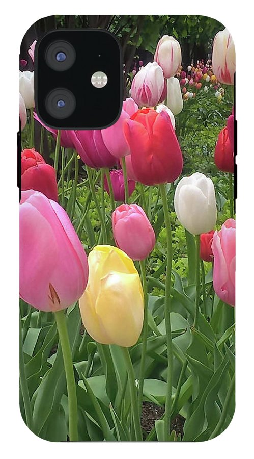 Home Chicago Tulips - Phone Case