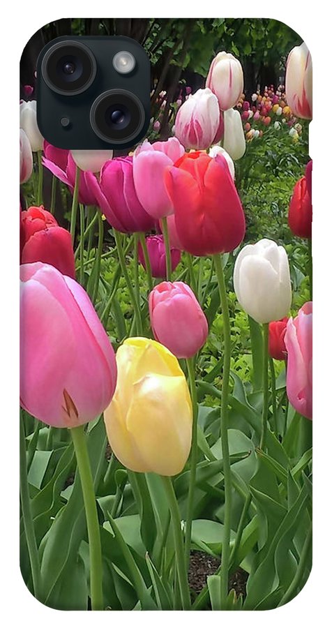 Home Chicago Tulips - Phone Case