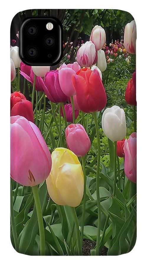 Home Chicago Tulips - Phone Case