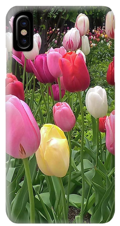 Home Chicago Tulips - Phone Case