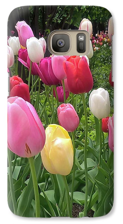 Home Chicago Tulips - Phone Case