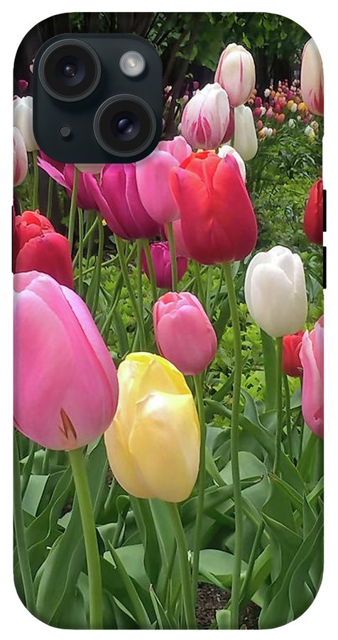 Home Chicago Tulips - Phone Case